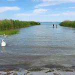 Sunny Сантод