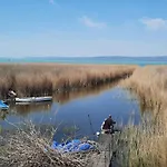 Sunny