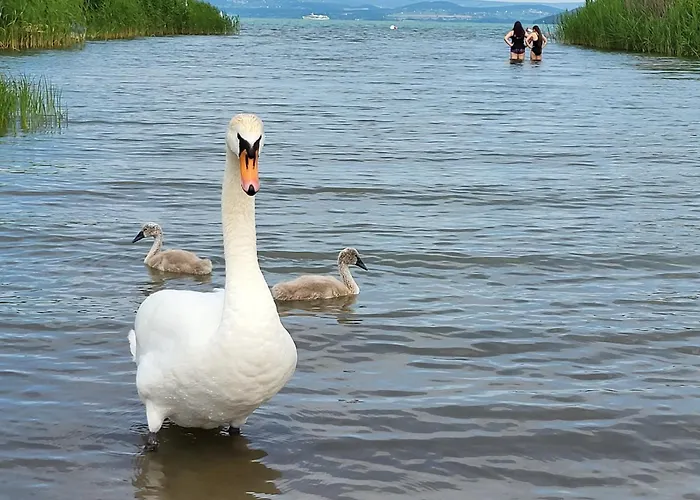Sunny Vilă Szántód